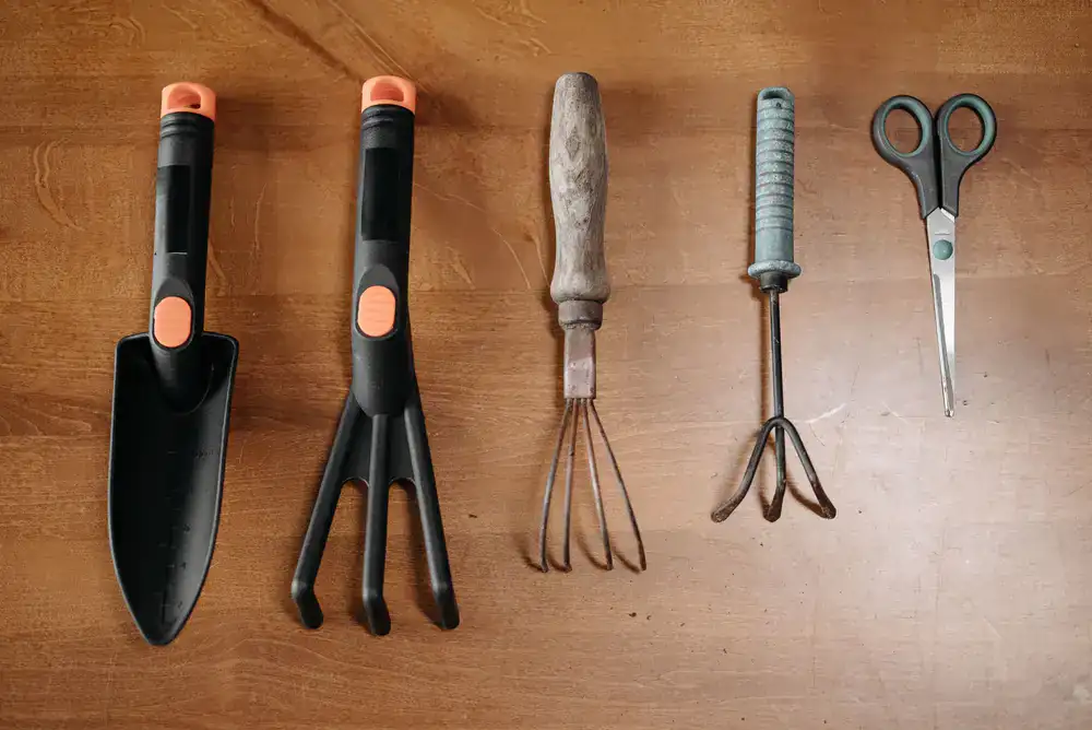 Professional plant care tools arranged neatly