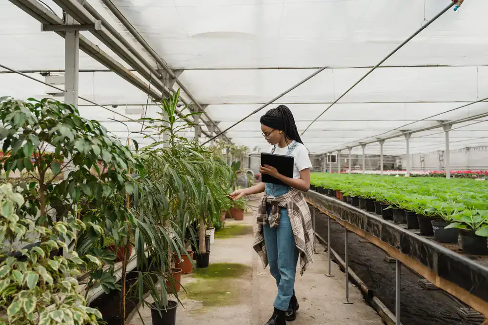 Botanist inspecting a rare plant root system in a bright greenhouse