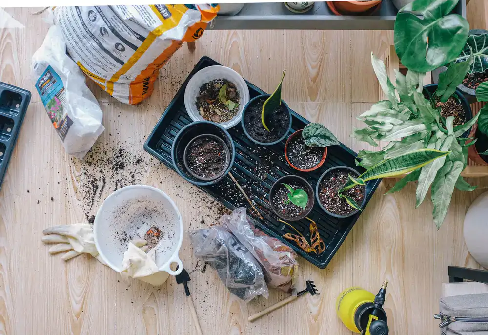 Neatly arranged potting soil and soil amendments on a tray